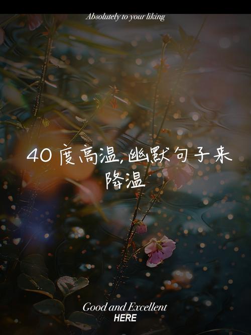 澳门香港 第5页