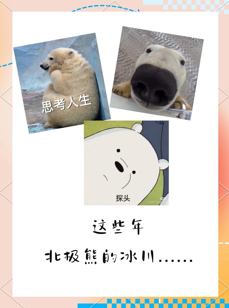 2025新澳门天天开奖攻略和瑞士巨型冰川断裂与瑞士巨型冰川断裂原因