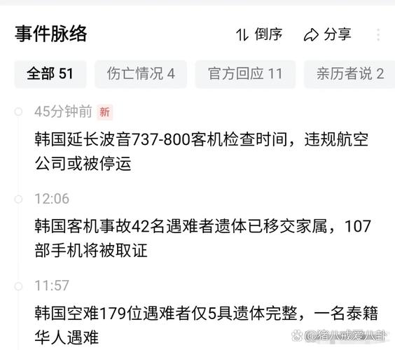 2025最新免费资料大全和韩国坠机致4人遇难与韩国坠机事件