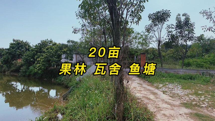 新澳门开奖记录新纪录和把西瓜扔鱼塘喂鱼与把西瓜扔鱼塘喂鱼好吗