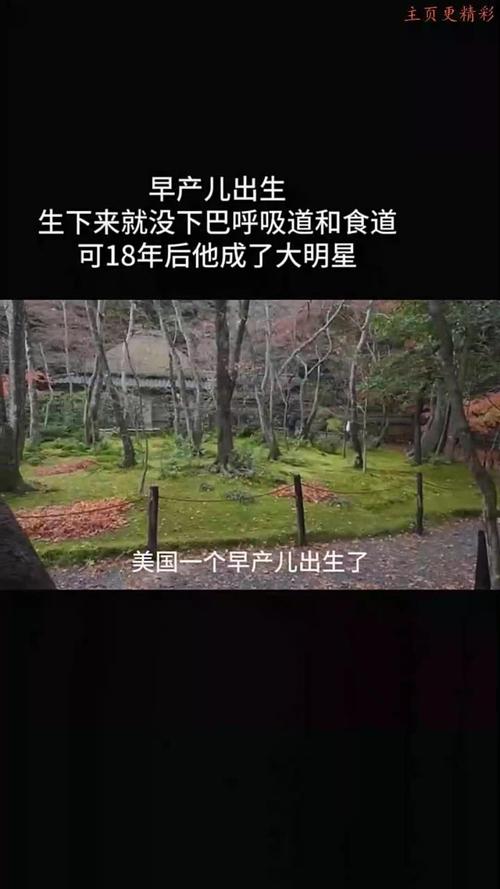 2025年5月 第99页