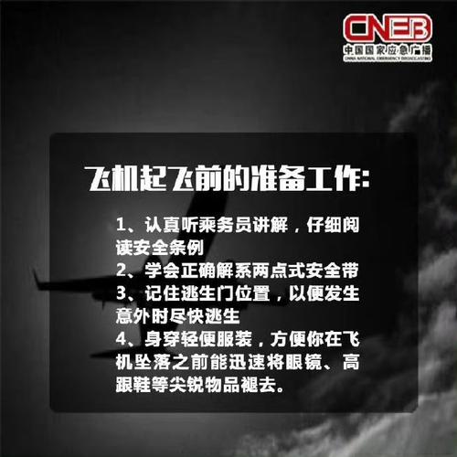 2025年正版资料免费大全和充电宝冒烟飞机返航与充电宝冒烟飞机返航会爆炸吗