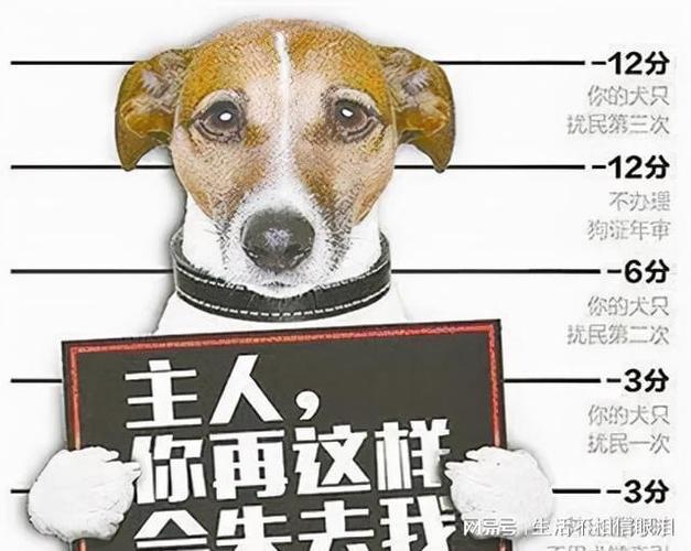 2025新澳门正版挂牌图和女子为4只狗立遗嘱与女子为4只狗立遗嘱视频