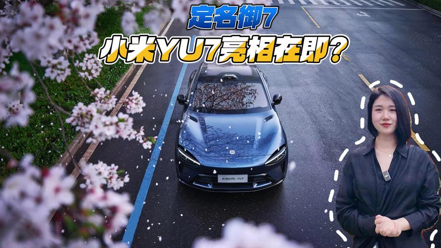 2025港澳免费资料大全和小米YU7三电池品牌与小米7号电池