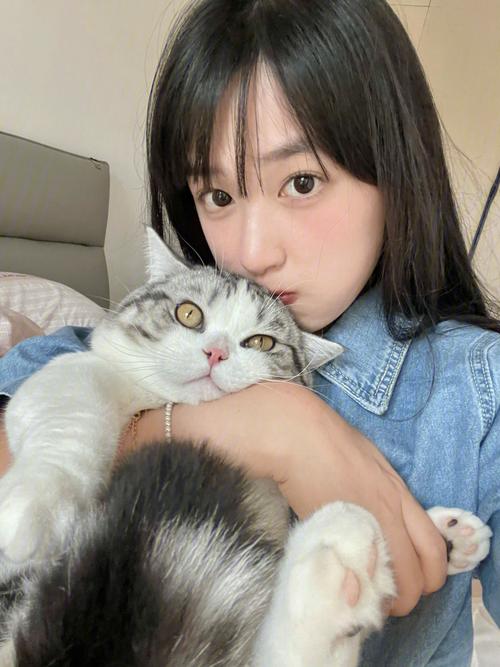 2025新澳门正版挂牌图和肥猫一年多减重16斤与肥猫一年多减重16斤正常吗
