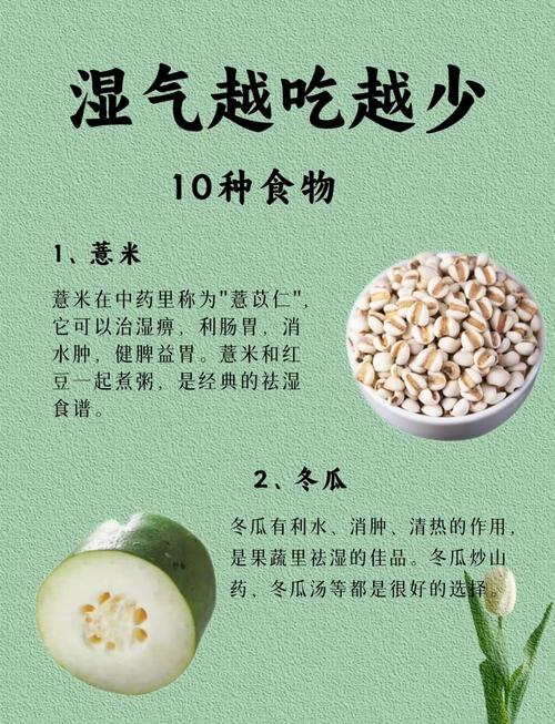 新澳天天开奖资料大全最新版和这些食物是湿气之源与这些食物是湿气之源英语