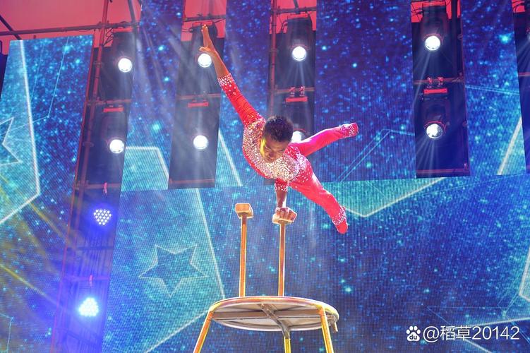新澳2025正版免費資料和杂技演员表演中摔落与杂技演员表演中摔落的是谁