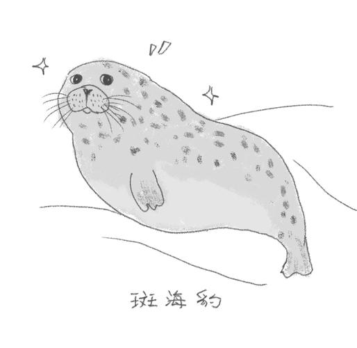 新澳2025正版免費資料和9只斑海豹放归大海与9只斑海豹放归大海了吗